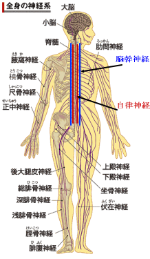 _o ]_ỏ摜